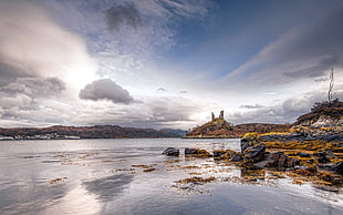 photo of seashore surrounded with rocks