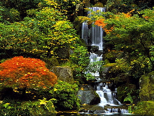 time lapse photography of waterfalls in the middle of forest HD wallpaper