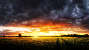 panoramic photo of open field under grey clouds photo taken during golden hour