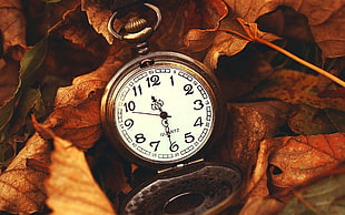 round silver Quartz analog pocket watch on dried leaves HD wallpaper