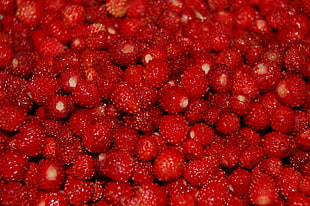 raspberries HD wallpaper