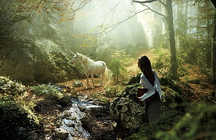 white unicorn on forest HD wallpaper