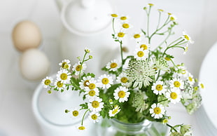 white and yellow flowers