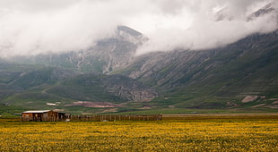 farm on grass field during cloudy sky HD wallpaper