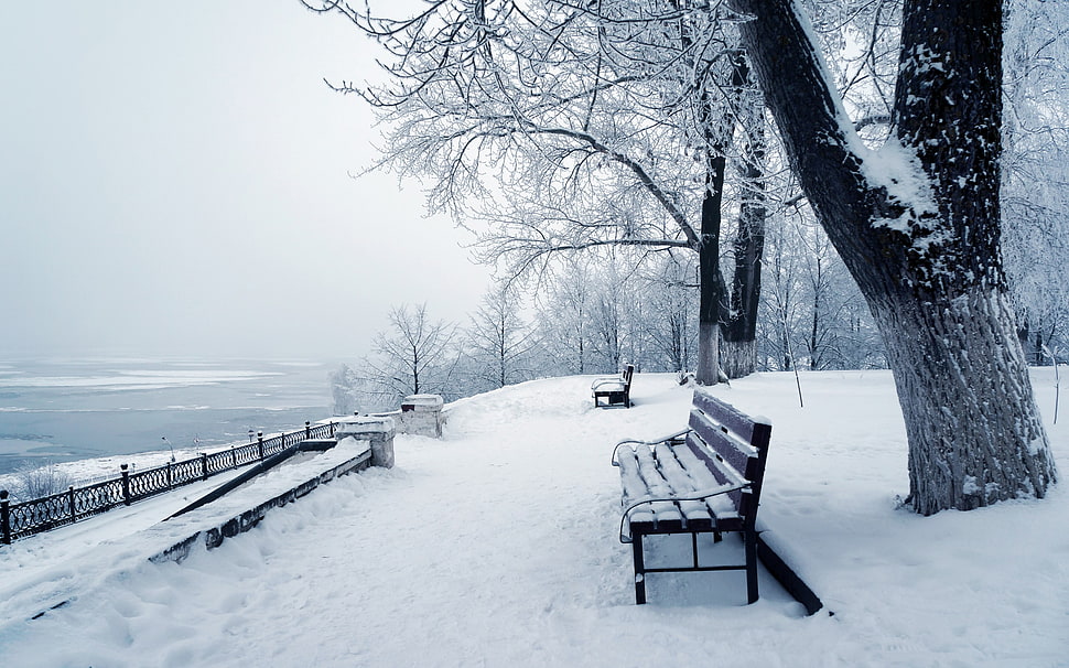 park with snowfield HD wallpaper