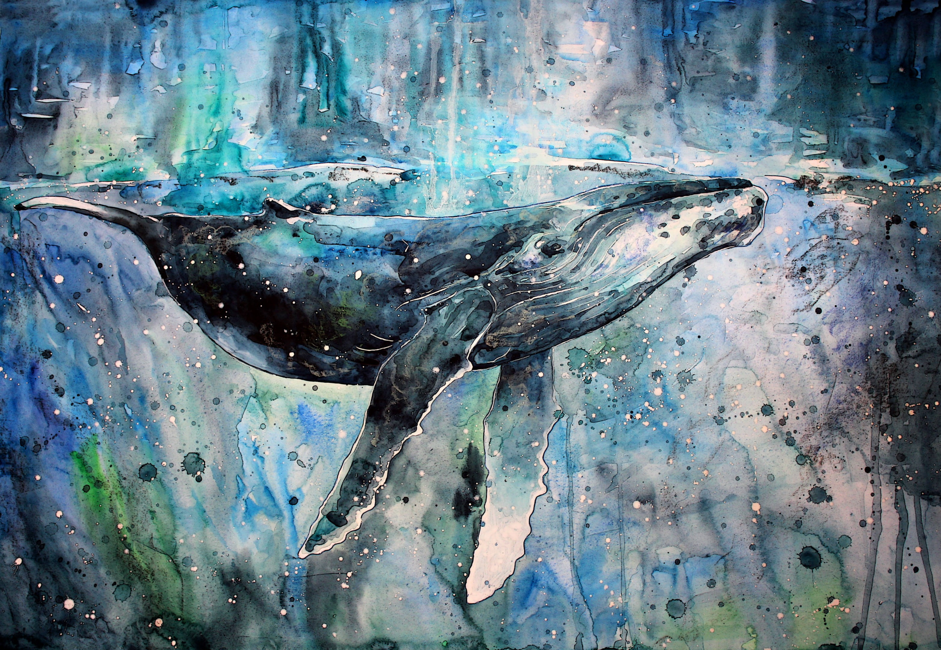 Humpback Whale Blue Whale From A Splash Of Watercolor