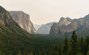 El Capitan summit, California, mountains, trees, forest HD wallpaper