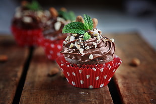 focus photography of chocolate cupcake HD wallpaper
