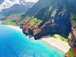 bird's eye view of seashore, landscape, nature, Hawaii, beach HD wallpaper