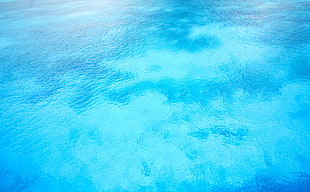 closeup photo of ocean HD wallpaper