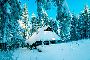 brown wooden house covered by snow