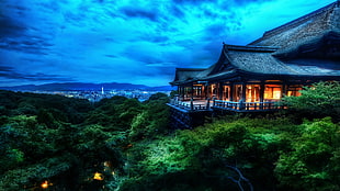 black and brown temple, nature