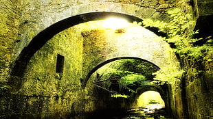 brown stone archway, medieval, bridge, stones, green HD wallpaper