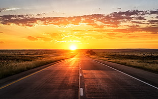 road during golden hour HD wallpaper