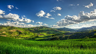 mountain illustration, nature, landscape, trees, clouds