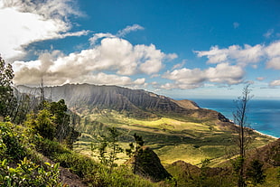 landscape photo of body of water near mountains and trees