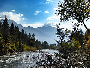 timelapse photography of river surrounded by green trees near mountain range during daytime HD wallpaper