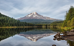 lake near green leaved forest near snow covered mountain during daytime