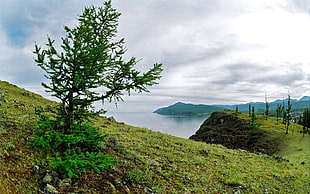 island and ocean during day