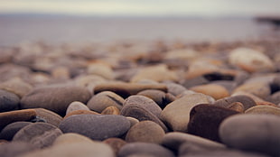 nature, stones