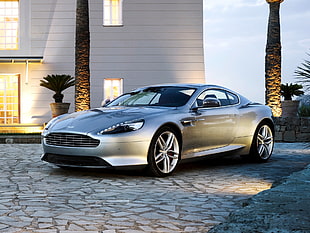 person showing silver Corvette near coconut tree photo