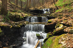 waterfalls in forest during daytime HD wallpaper