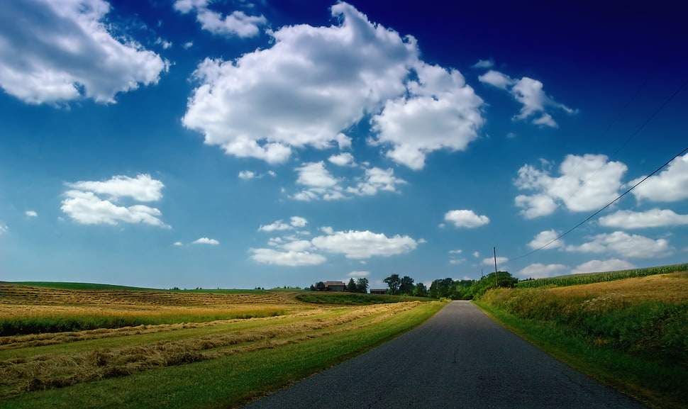 Landscape photo of pathway between green grass field HD wallpaper ...