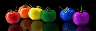 photo of multicolored tomatoes HD wallpaper
