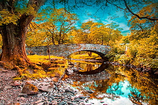 concrete bridge at autumn digital wallpaper HD wallpaper