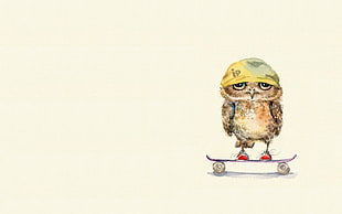 brown owl with yellow helmet on skateboard digital wallpaper HD wallpaper