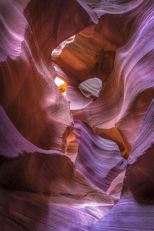 Grand Canyon,Arizona HD wallpaper