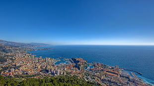 aerial photography of city near beach during daytime