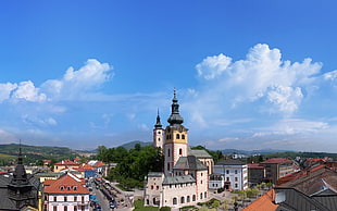 white and black cathedral aerial photo