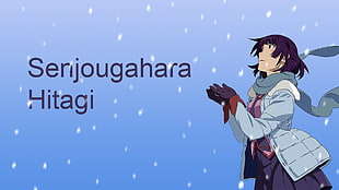 Senjougahara Hitagi from Monogatari illustration, Senjougahara Hitagi, Monogatari Series, typography, anime