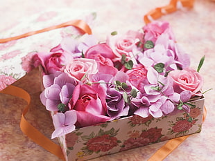 pink Hydrangeas with pink Roses in present box HD wallpaper