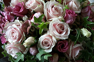 white and pink roses bouquet