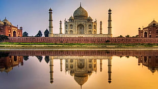 Taj Mahal, India, reflection, building, Taj Mahal, nature HD wallpaper