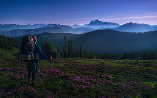 person wearing blue long-sleeved shirt hiking, landscape, nature, mist, mountains