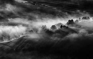 black and white fur area rug, nature, landscape, monochrome, mist HD wallpaper