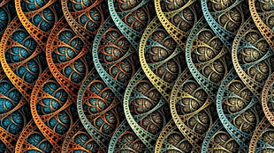 photo of teal, orange, and brown skin HD wallpaper