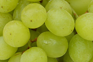 macro photography of green grapes HD wallpaper