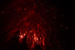 Fireworks,  Night,  Sky,  Sparks HD wallpaper