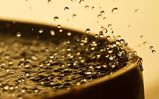 selective focus photography of water drops HD wallpaper