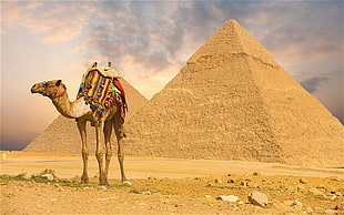 Great Pyramid of Giza, Egypt HD wallpaper