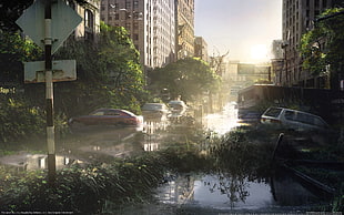 landscape photo of cars sinking on flood in the city HD wallpaper