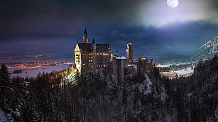 white and black castle painting, Neuschwanstein Castle, castle, Germany, night HD wallpaper