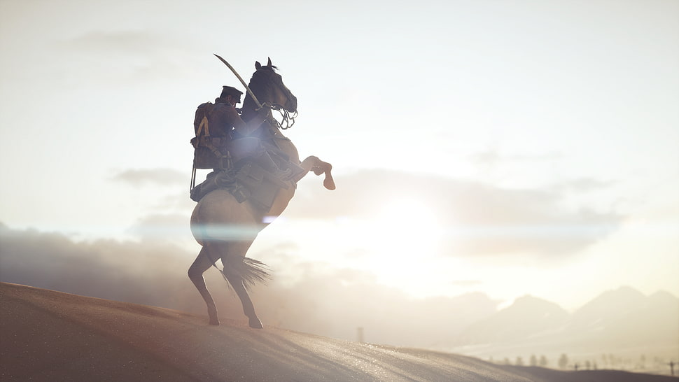 man riding horse on dessert at daytime HD wallpaper