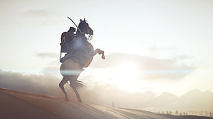 man riding horse on dessert at daytime HD wallpaper