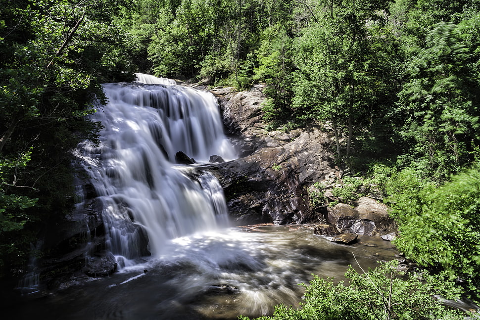 waterfall near green leafed trees during daytime, bald river HD wallpaper