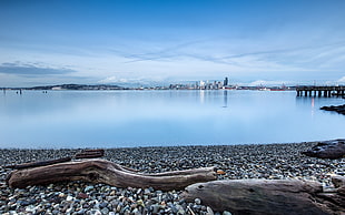 silver-colored chain necklace, coast, driftwood, pebbles, calm